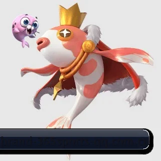 365体育 APP | 365 SPORTS